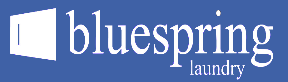 Bluespring Logo2 Copy